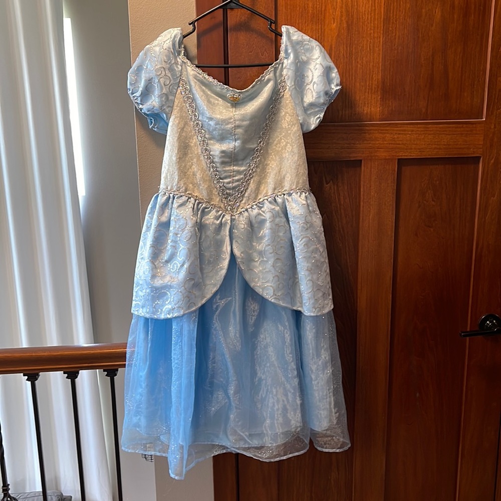 Disney Parks Cinderella Gown